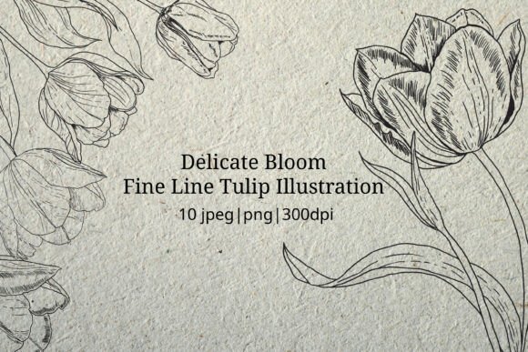 Download Delicate Bloom - Fine Line Illustration - Delicate Collection